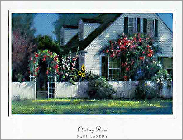 Paul Landry - Climbing Roses