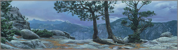 Stephen Lyman - Yosemite Landscape