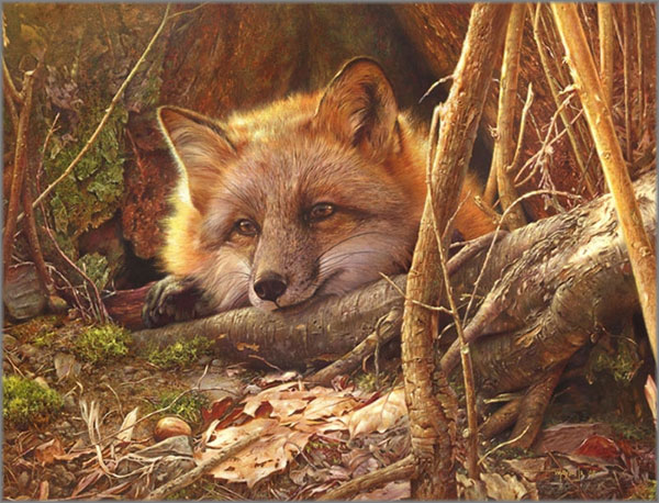 Denis Mayer - Touch of Warmth, A