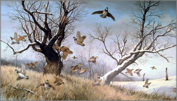 Maynard Reece - Winter Covey-Bobwhites