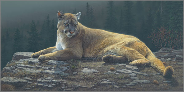 Daniel Smith - Radiant Repose