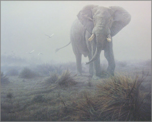 Daniel Smith - Denizen of the Mist
