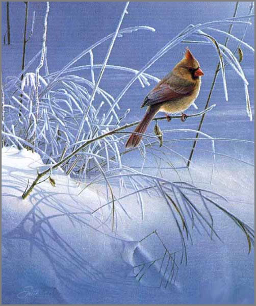 Daniel Smith - Snow Song