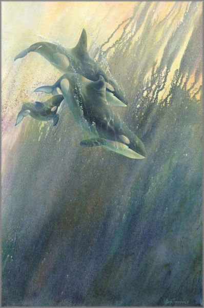 Linda Thompson - Orca-Stration