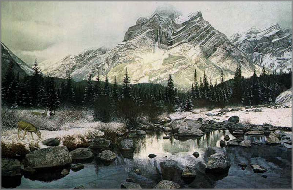 Brent Townsend - Mountain Light