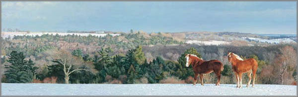 Brent Townsend - Winter Boundaries