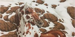 Bev Doolittle - Hide and Seek - mini-1C