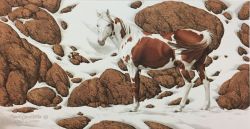 Bev Doolittle - Hide and Seek - mini-2C