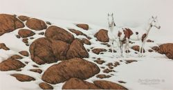 Bev Doolittle - Hide and Seek - mini-3D