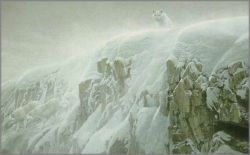 Robert Bateman - Arctic Cliff - White Wolves