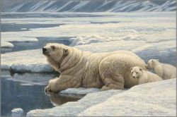 Robert Bateman - Arctic Family - Polar Bears
