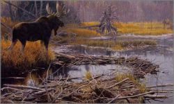 Robert Bateman - Autumn Overture - Moose