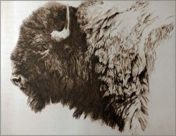 Robert Bateman - Bison Portrait