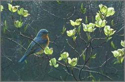 Robert Bateman - Bluebird and Blossoms