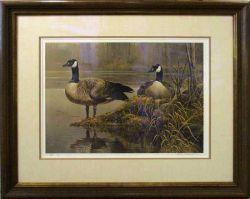 Robert Bateman, Wildlife Artist, Originals, Prints, Canvases And Books