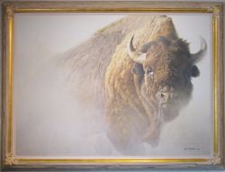 Robert Bateman - Chief - American Bison