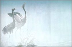 Robert Bateman - Cries of Courtship - Red-Crowned Crane