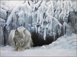 Robert Bateman - Dozing Lynx