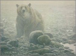 PRIMAL Grizzly Bear; 16x20 Limited-Edition Fine Art Giclée Print of