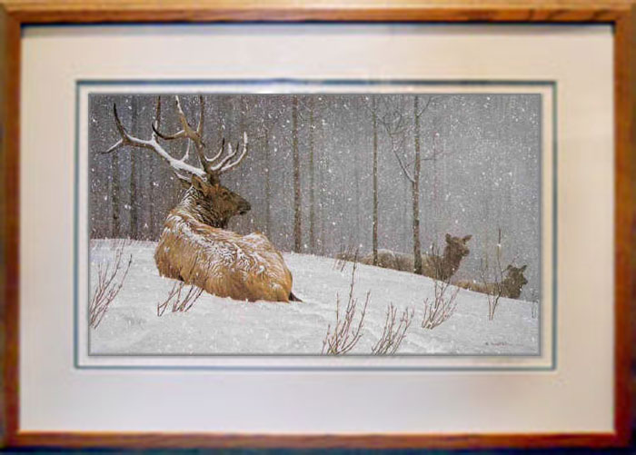 Robert Bateman - Evening Snowfall - American Elk - framed: ART