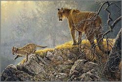 Robert Bateman, wildlife artist, originals, prints, canvases and books