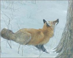 Robert Bateman - Game Over - Fox and Maple