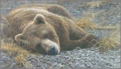 Robert Bateman - Grizzly at Rest