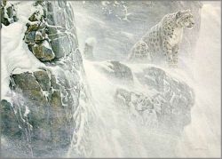 Robert Bateman - High Kingdom - Snow Leopard