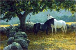 Robert Bateman - In the Field - Mare and Foal