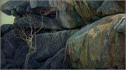 Robert Bateman - Kopje Lookout - Leopard