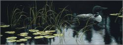 Robert Bateman - Lily Pads and Loon