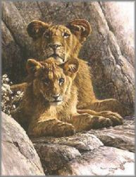 Robert Bateman - Lion Cubs - from the Sappi Portfolio