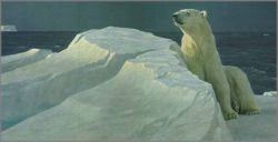 Robert Bateman - Long Light - Polar Bear