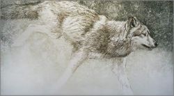 Robert Bateman - Loping Wolf