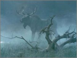 Robert Bateman - Moose in Moonlight