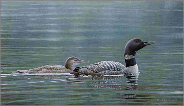 Robert bateman ford lake #3