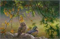 Robert Bateman - On the Pond - Wood Ducks