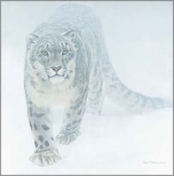 Robert Bateman - Out of the White - Snow Leopard