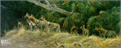 Robert Bateman - Painted Dogs