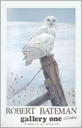 Robert Bateman - Ready for the Hunt - Snowy Owl