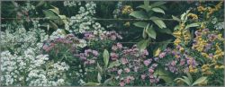 Robert Bateman - Roadside Tapestry