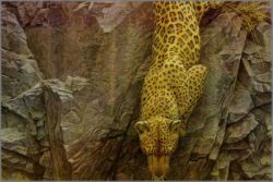 Robert Bateman - Rockface Descent