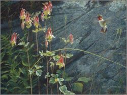 Robert Bateman - Ruby Throat and Columbine