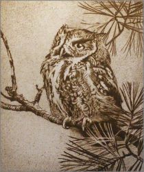 Robert Bateman - Screech Owl in Pine