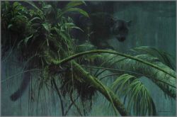 Robert Bateman - Shadow of the Rainforest