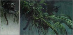 Robert Bateman - Shadow of the Rainforest - Premier Edition