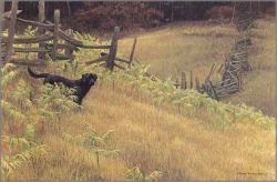 Robert Bateman - Smallwood