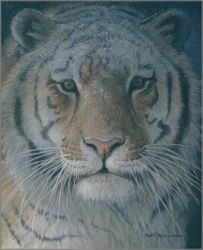 Robert Bateman - Tiger at Dusk