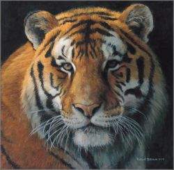 Robert Bateman - Tiger