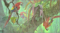 Robert Bateman - Tropical Canopy - Scarlet Macaws